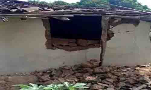 Elephants gnaw grains by damaging houses, rural families in panic