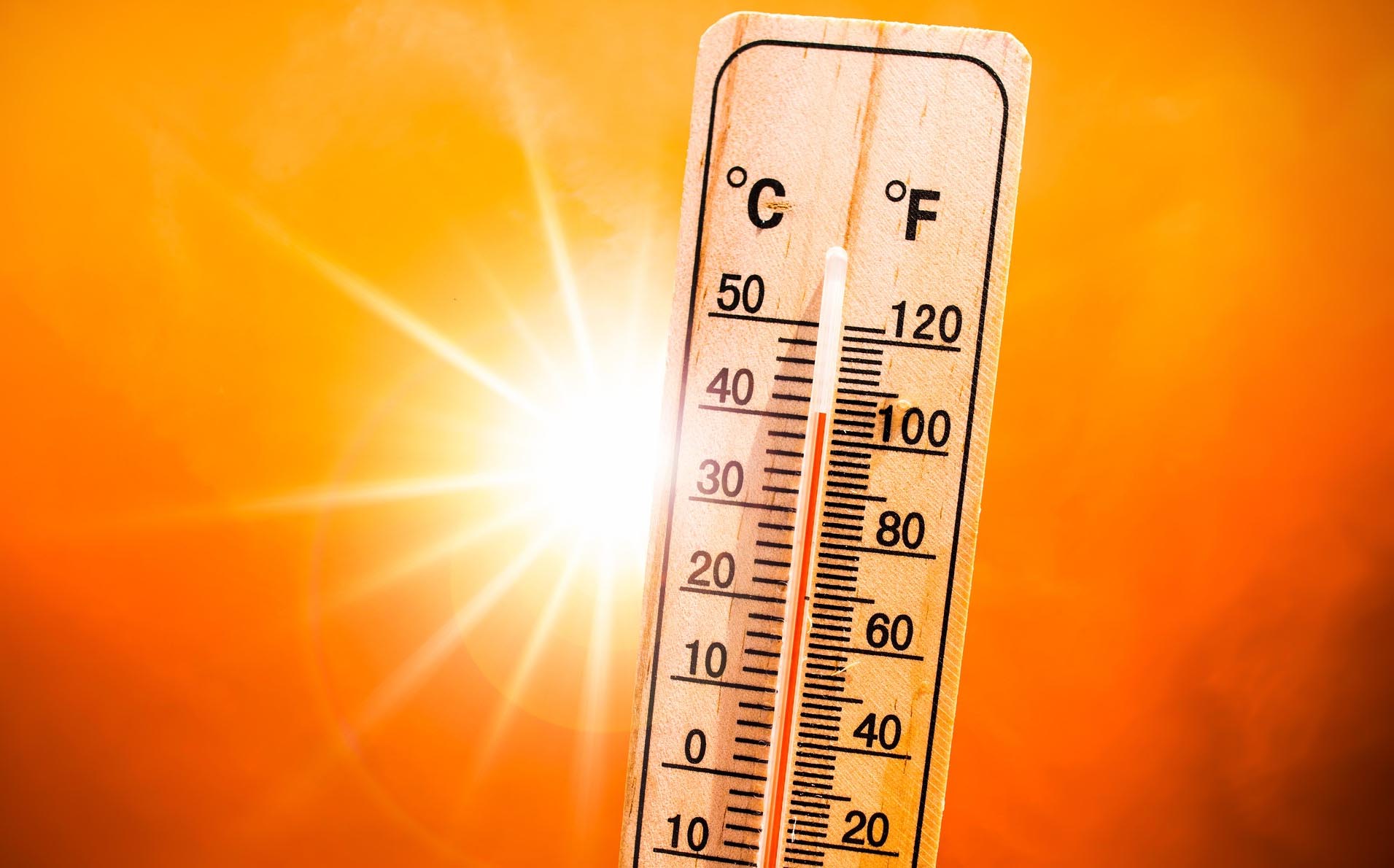 40 suffering from heat wave die at Uttar Pradesh’s Ballia district hospital in three days