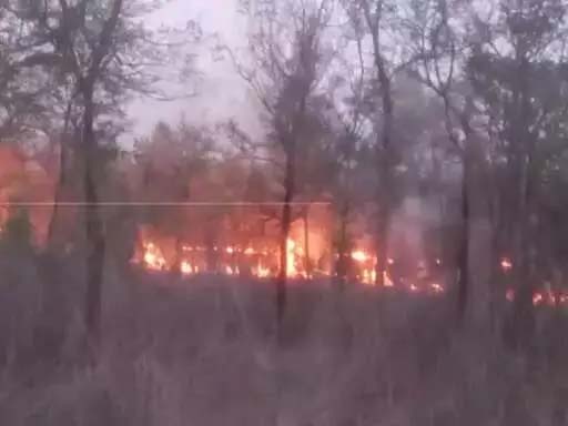 Fire broke out near WRS Colony, 2 fire engines brought under control