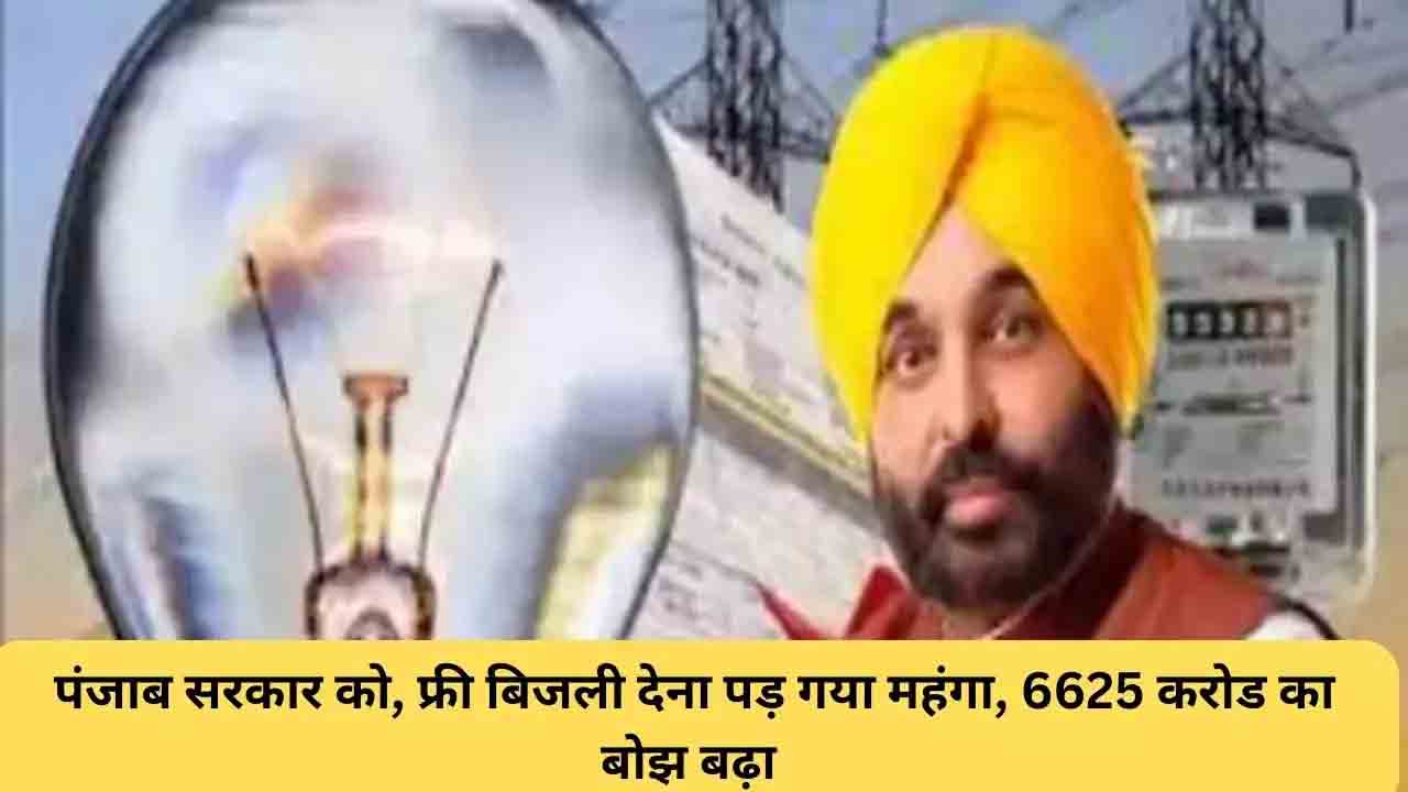 Due to 300 units of free electricity every month, the burden of so many crores increased on the government