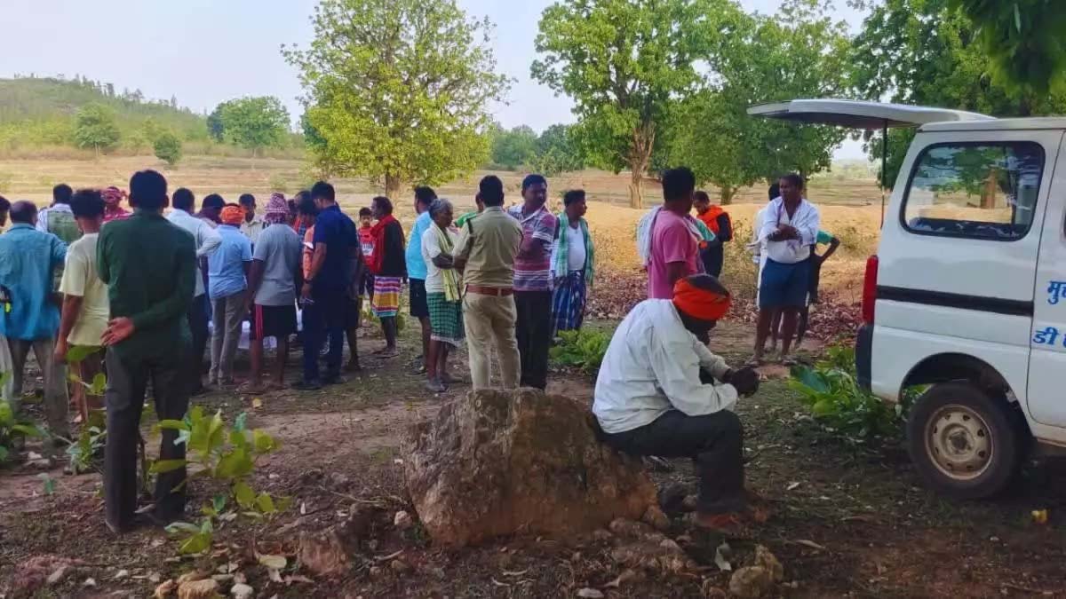 Elephant crushed 60 year old man