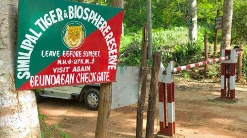 Odisha’s Similipal Tiger Reserve To Be Closed To Visitors For 3 Months From This Date