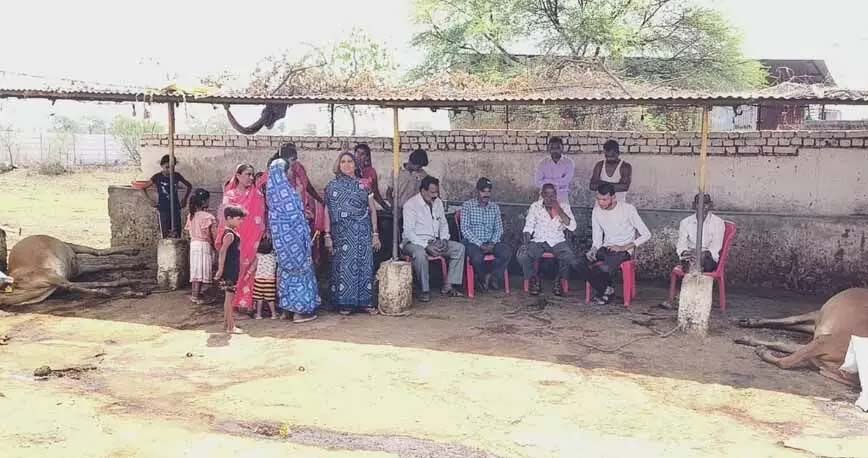 Two cattle died due to electrocution
