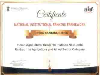 Indian Agricultural Research Institute shines as acme of excellence in Agriculture Sciences under NIRF 2023