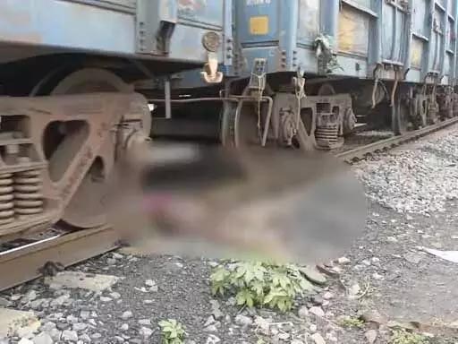 Troubled by cancer, a person died on the railway track, the body was found in several pieces