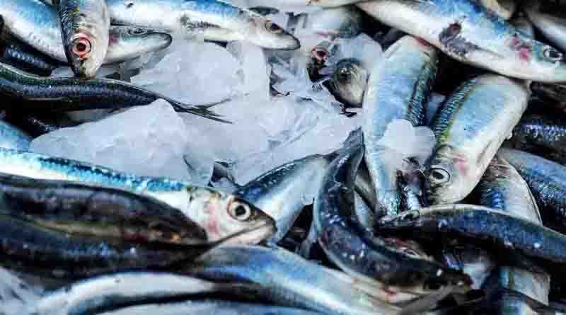 Fishing banned from today till August 15