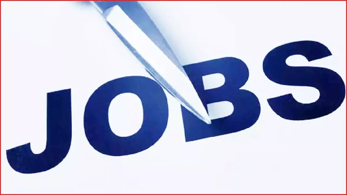 Employment opportunity for youth, 95 posts will be recruited on June 27