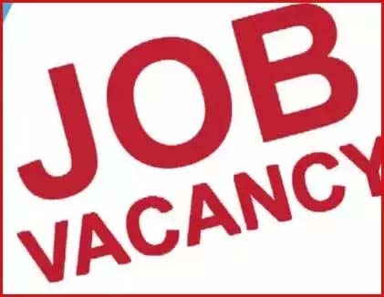 Placement camp organized for 10th and 12th pass unemployed