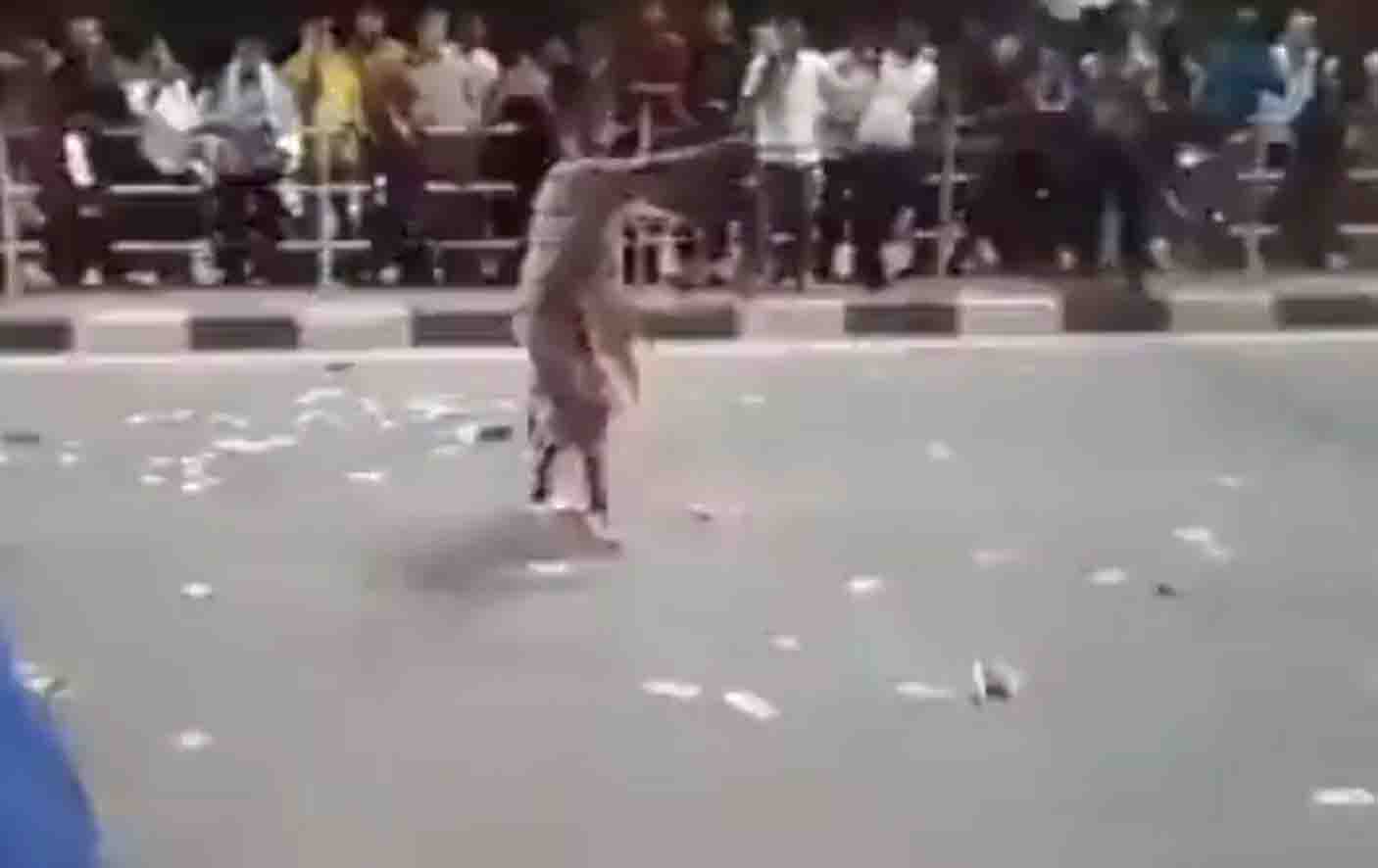 Woman throws 500-500 notes in the air, watch video