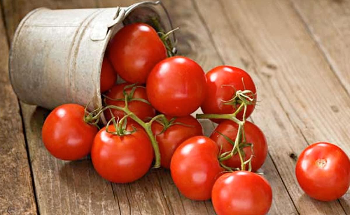 Tomatoes will be available at low cost in this state