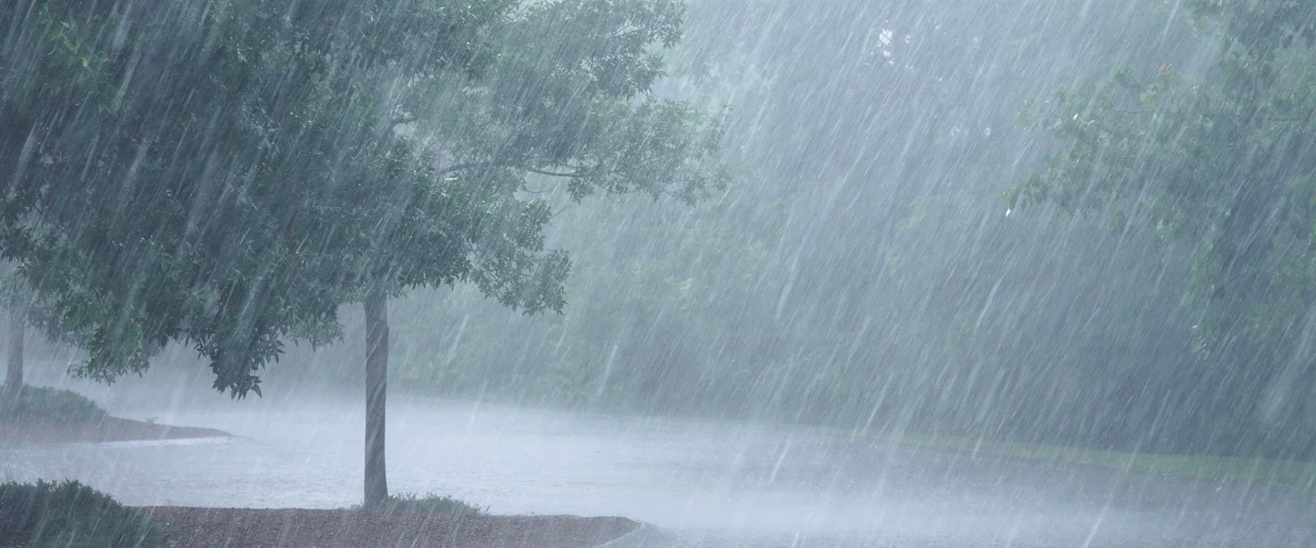 234.2 mm average rainfall so far in Mahasamund district
