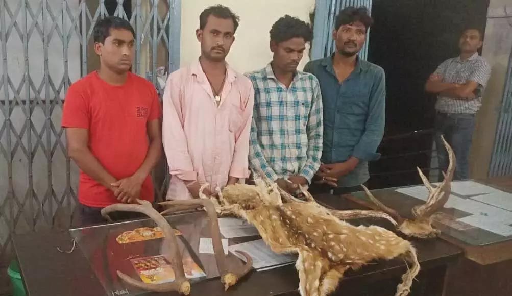 4 smugglers arrested with deer horns and skins