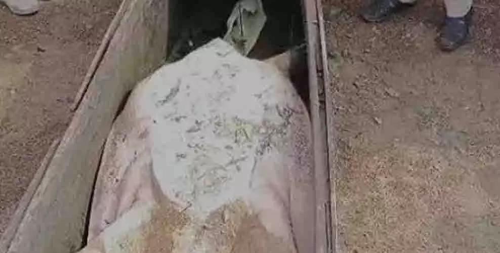 Tortoise of 100 kg found, MLA arrived to see