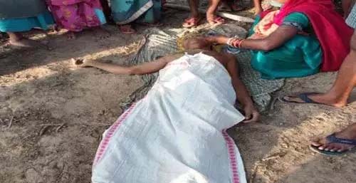Tusk elephant crushed old man who defecated, condition critical