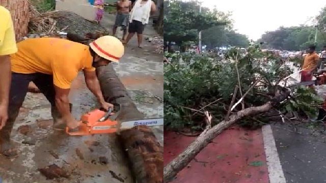 If response to kalabaisakhi can be slow, what would happen in eventual cyclone situations: Odisha Chief Secy over restoration of power supply