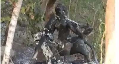 Insult to the idol of Goddess, burnt by anti-social elements