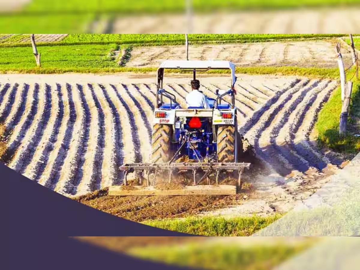 You will be able to buy farming equipment here at half the price