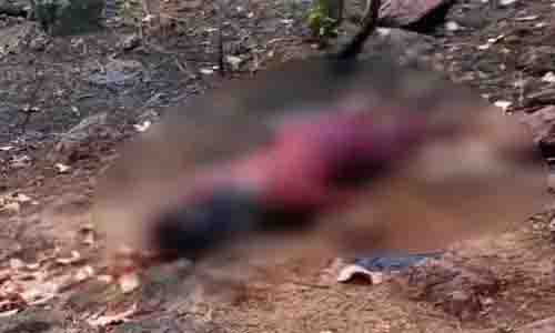 Girl was missing from maternal uncle’s village, dead body found in this condition