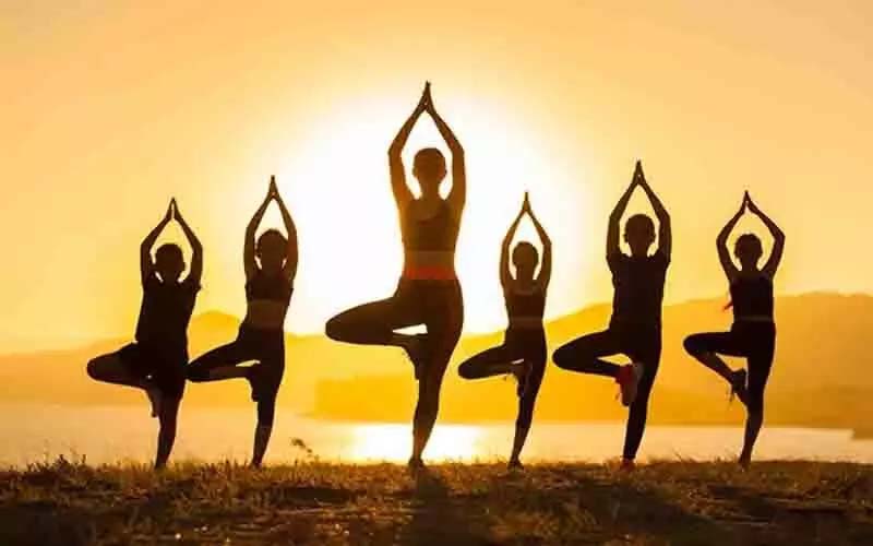 International Yoga Day will be celebrated on 21st in Chhattisgarh