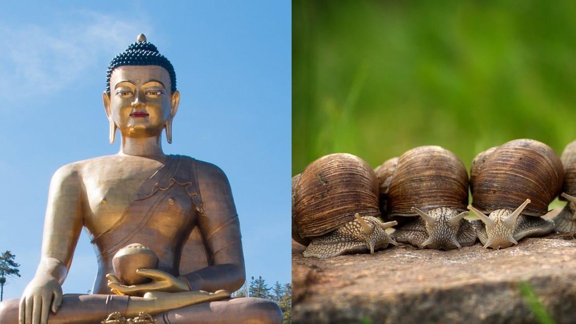 Do you know these special things related to Gautam Buddha