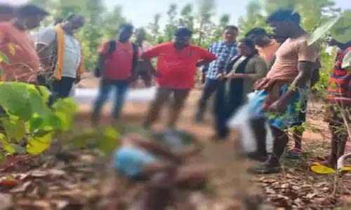 Bears attacked the couple…wife died, husband injured