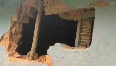 Elephants created havoc in 4 villages, destroyed 6 houses