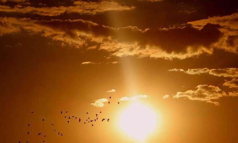 UP: Atleast 34 dead, several hospitalised in Ballia due to ‘severe heat’