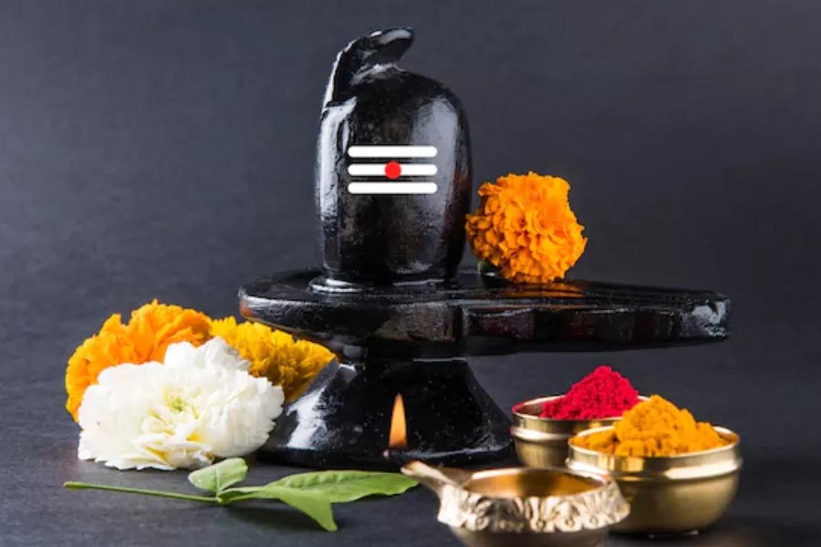 What bhog should be offered to Bholenath in Sawan?