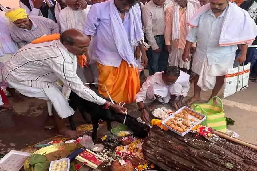 Bastar Dussehra festival started, Patjatra rituals completed