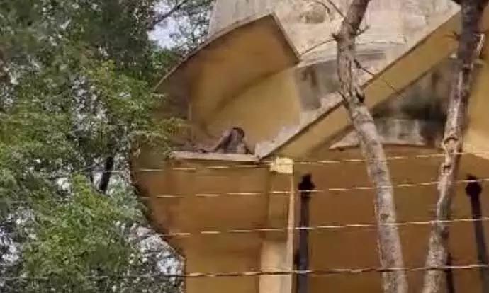 Viral video of half-naked teacher, drama in water tank for hours