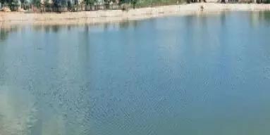 Youth dies due to drowning in pond