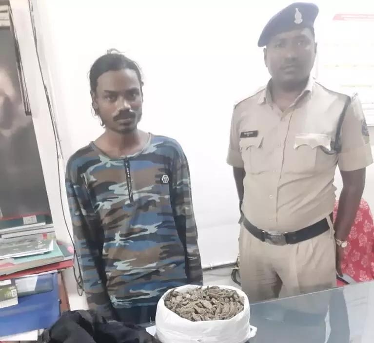 Tikrapara resident arrested with one and a half kg ganja